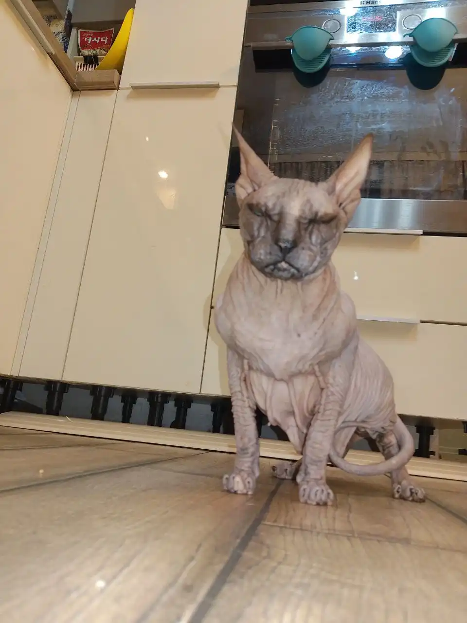 Отдам в хорошие руки