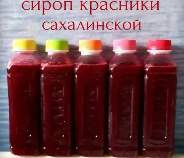 Продам клоповку (краснику) с о. Сахалин - Сувениры в Владивосток