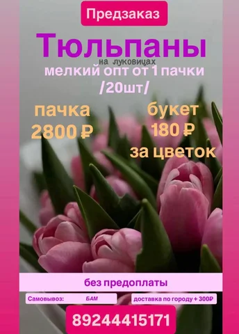 Продажа тюльпанов на луковицах - частное объявление в Владивосток