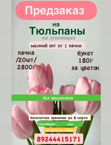 Продажа тюльпанов на луковице оптом и в букетах - Электроинструменты в Владивосток