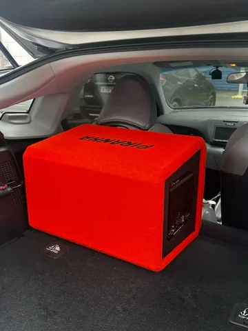 DL Audio Piranha 12A V.2 активный сабвуфер - Компьютерная техника в Владивосток