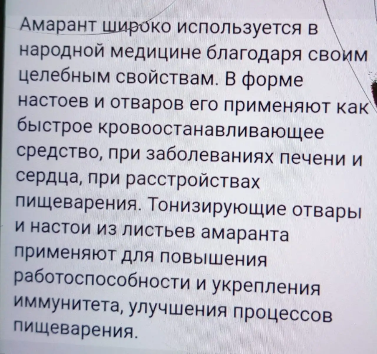 Рассада Амаранта - Рассада (Растения) в Владивосток