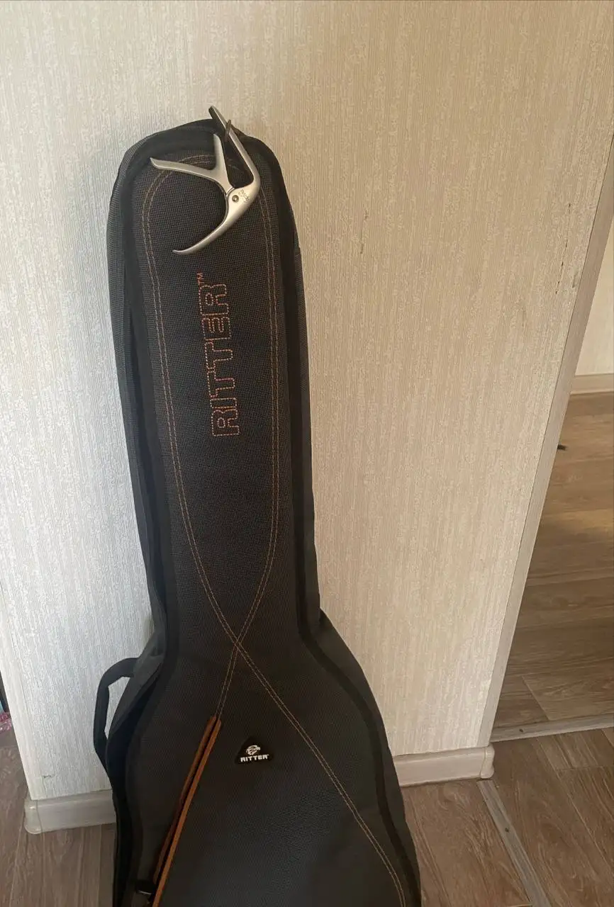 Продам гитару Prodipe TC80MA Telecaster Black - Хобби и отдых в Владивосток