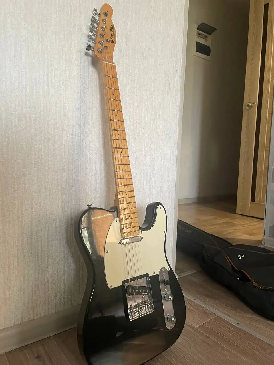 Продам гитару Prodipe TC80MA Telecaster Black - Хобби и отдых в Владивосток