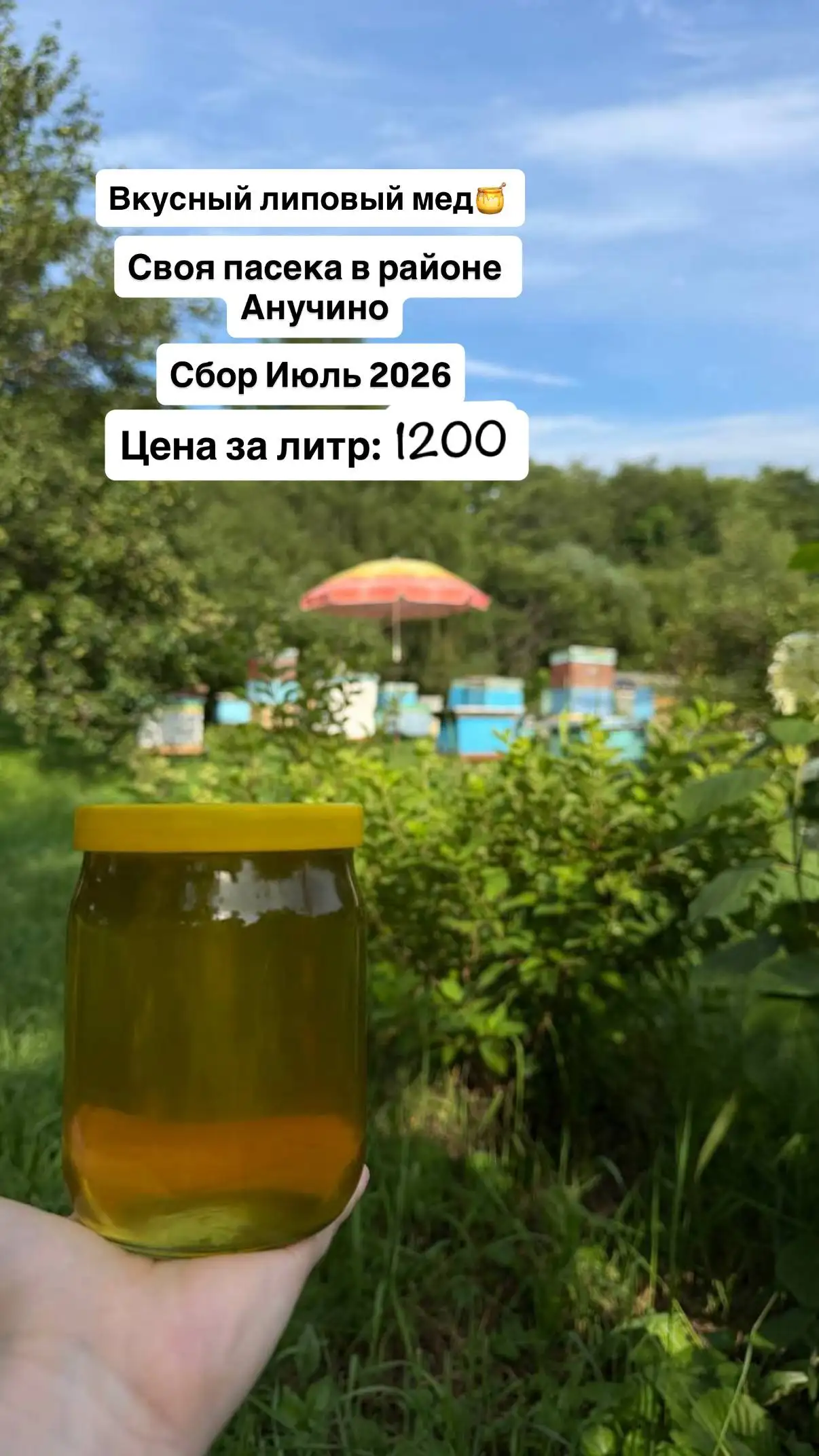 Продажа свежего липового меда - Барахолка в Владивосток