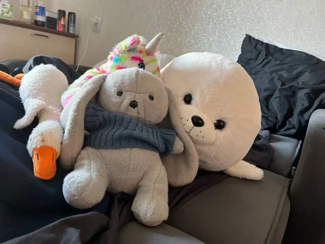 Продажа товаров в отличном состоянии - Одежда в Владивосток