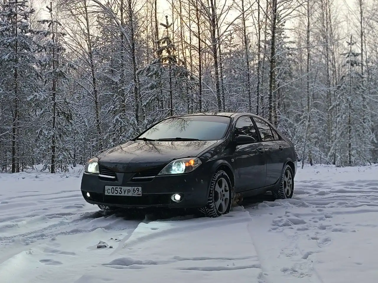 Продажа Nissan Primera P12 2005 года