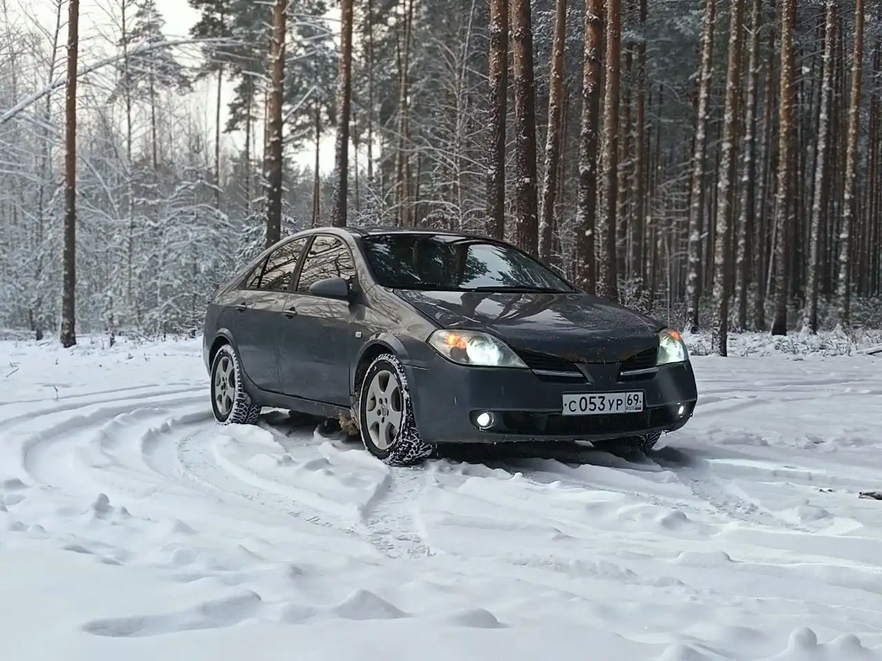 Продажа Nissan Primera P12 2005 года