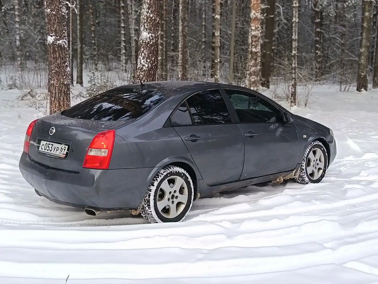 Продажа Nissan Primera P12 2005 года