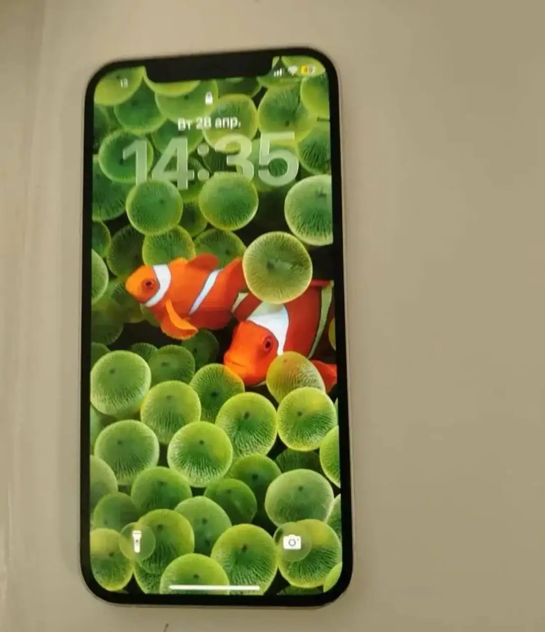 Продам iPhone X - Смартфоны (Электроника) в Тверь