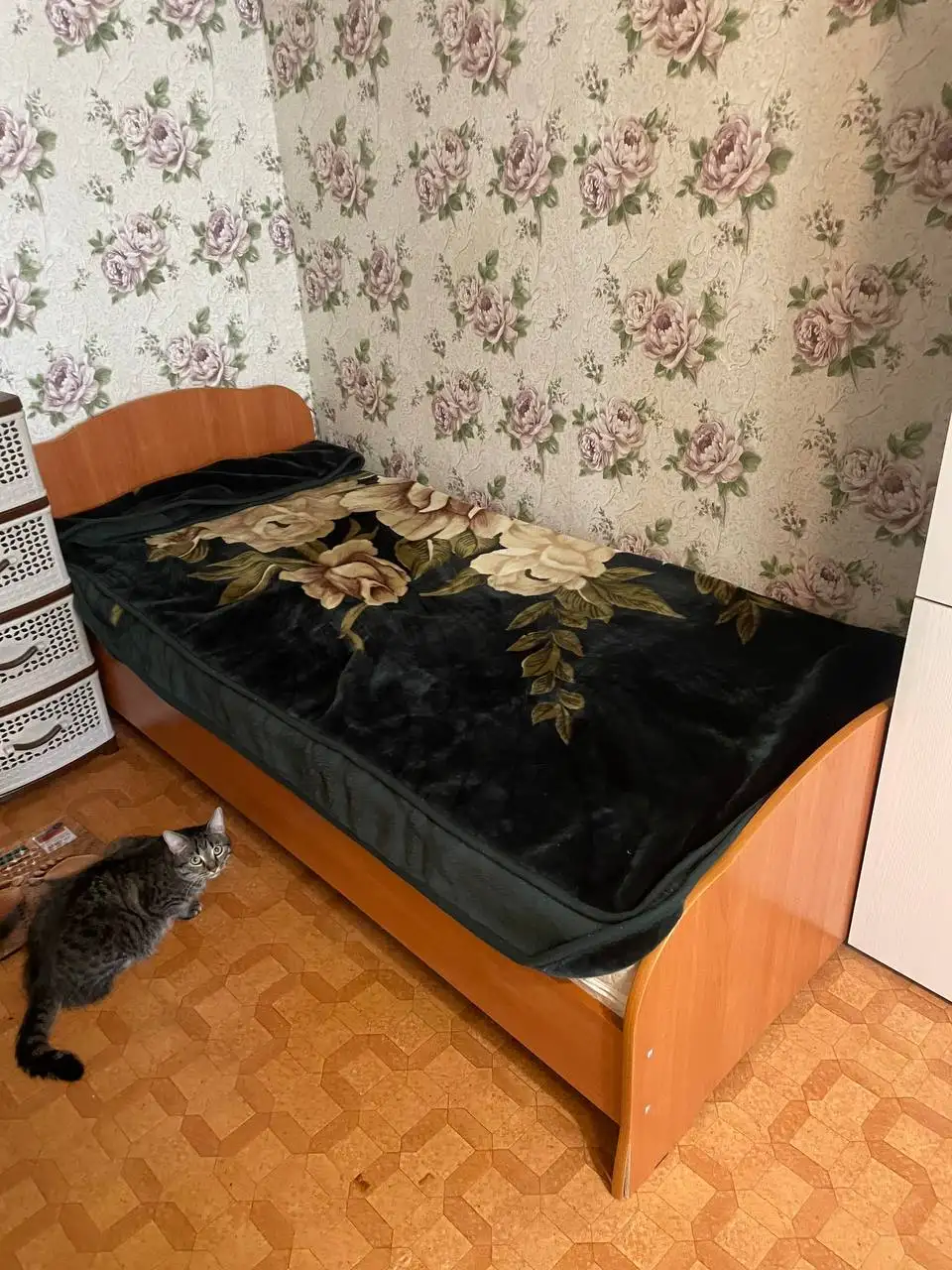 Продам диван-кровать - Мебель (Для дома и дачи) в Конаково