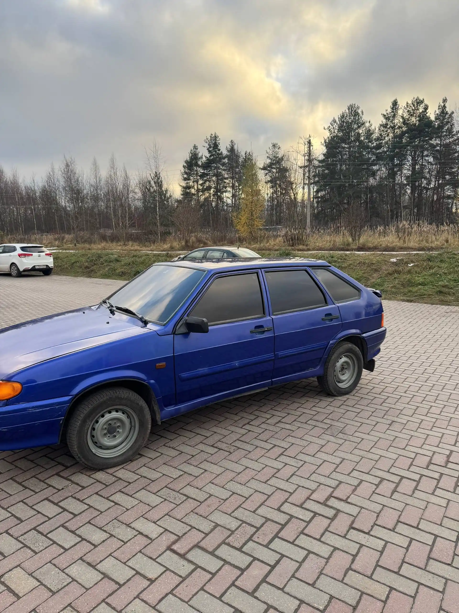 ВАЗ 2114 2010 года выпуска