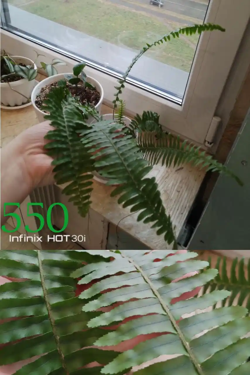 Продажа на улице Энтузиастов 63 - Неизвестно в Барнаул