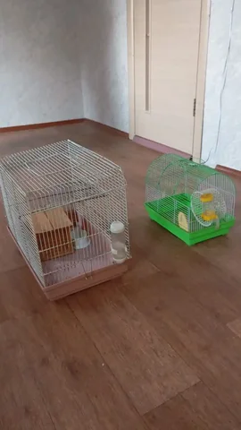 Продажа клеток - Животные в Барнаул