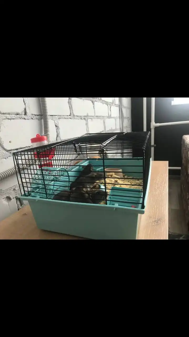 Продам клетку для грызунов с колесом, кормушкой и домиком
