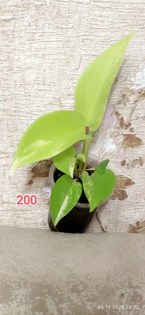 Продажа грильницы - Другое (Барахолка) в Барнаул