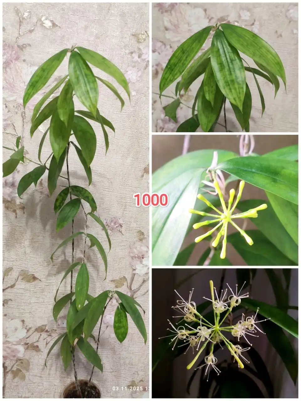 Продажа грильницы - Другое (Барахолка) в Барнаул