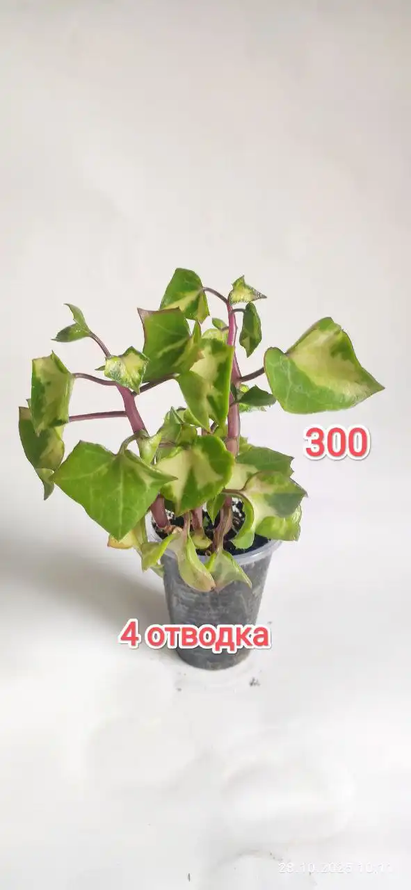 Продажа грильницы - Другое (Барахолка) в Барнаул