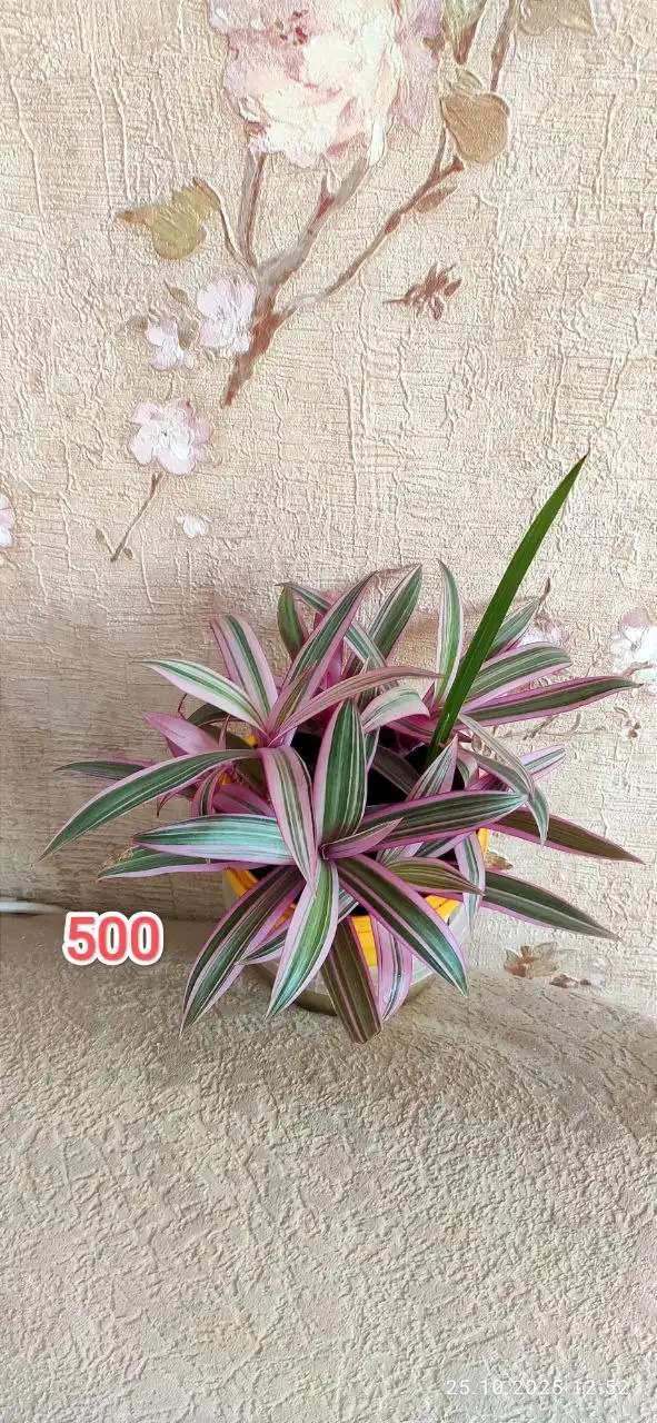 Продажа грильницы - Другое (Барахолка) в Барнаул