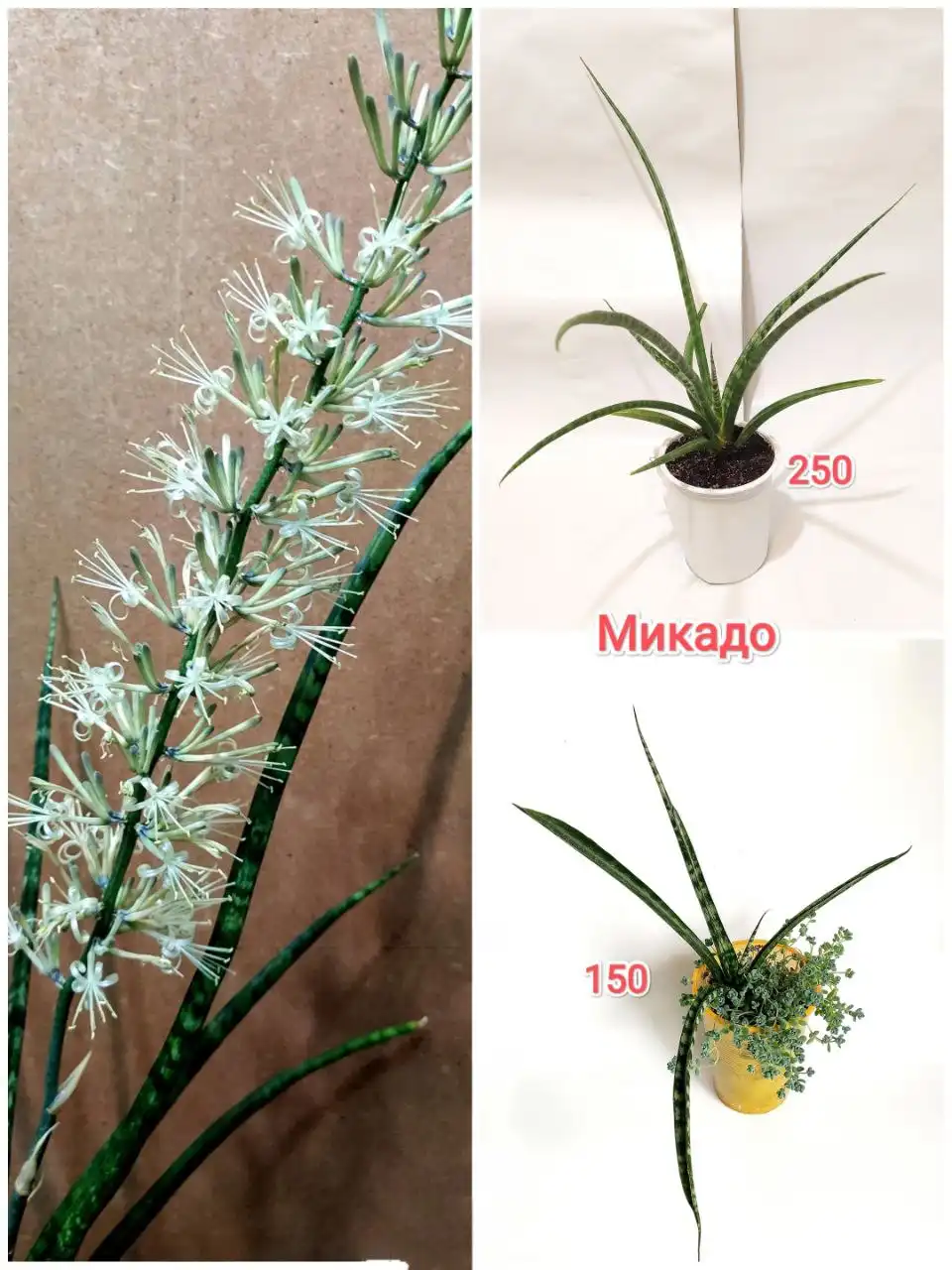 Продажа грильницы - Другое (Барахолка) в Барнаул