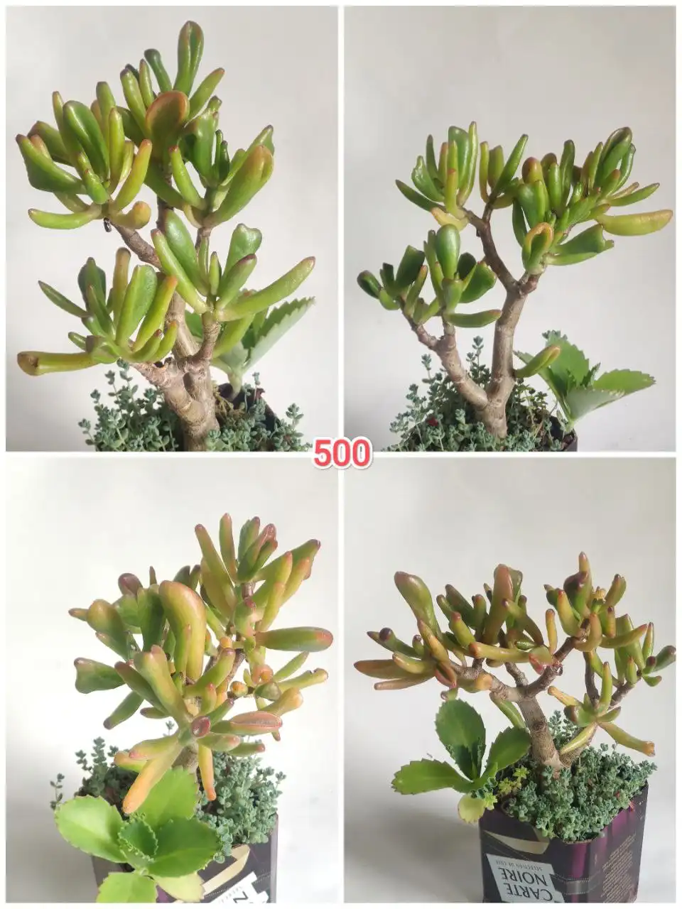 Грильница на проспекте Комсомольский - Барахолка в Барнаул