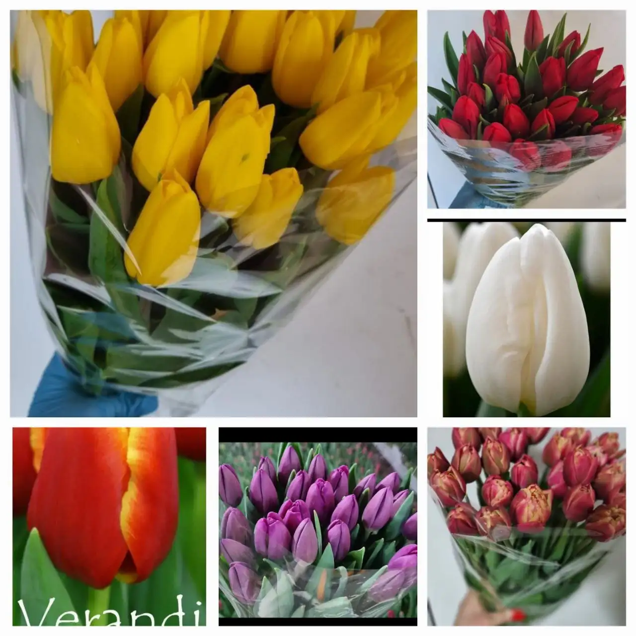 Срез тюльпанов к 8 марта - Цветы (Барахолка) в Барнаул