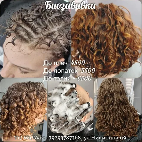 Биозавивка в студии Барнаул - Теплицы в Барнаул