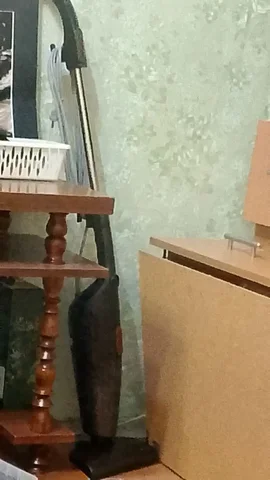 Пылесос в отличном состоянии - частное объявление в Барнаул