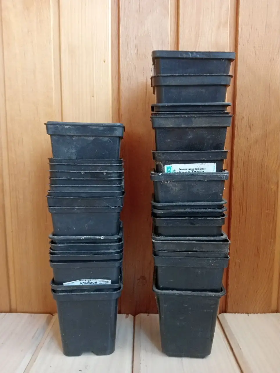 Контейнеры для рассады 0.5 л и 0.9 л - Садоводство (Для дома и дачи) в Барнаул