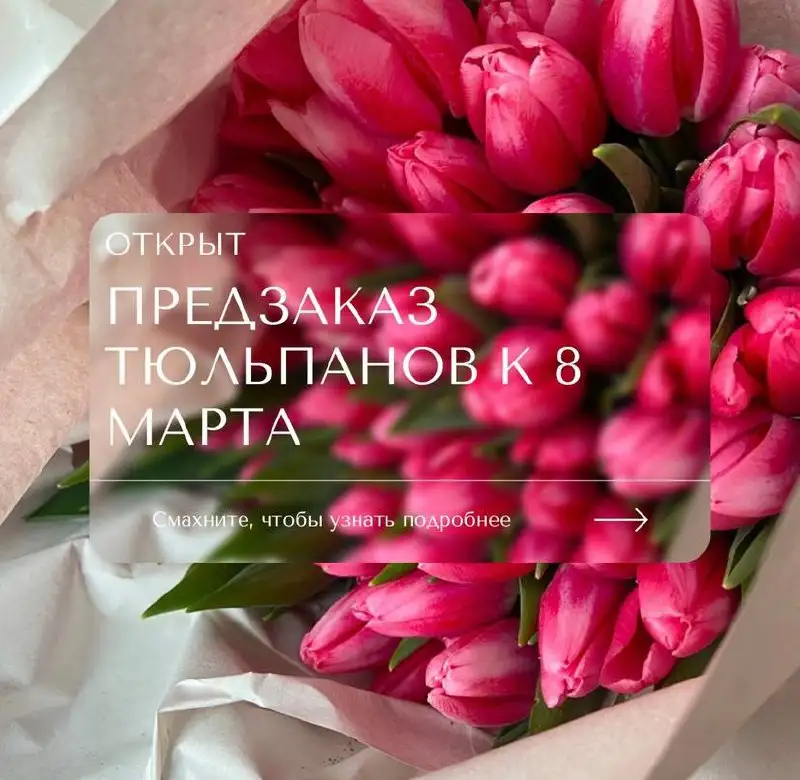 Предзаказ тюльпанов к 8 марта - Цветы (Барахолка) в Барнаул
