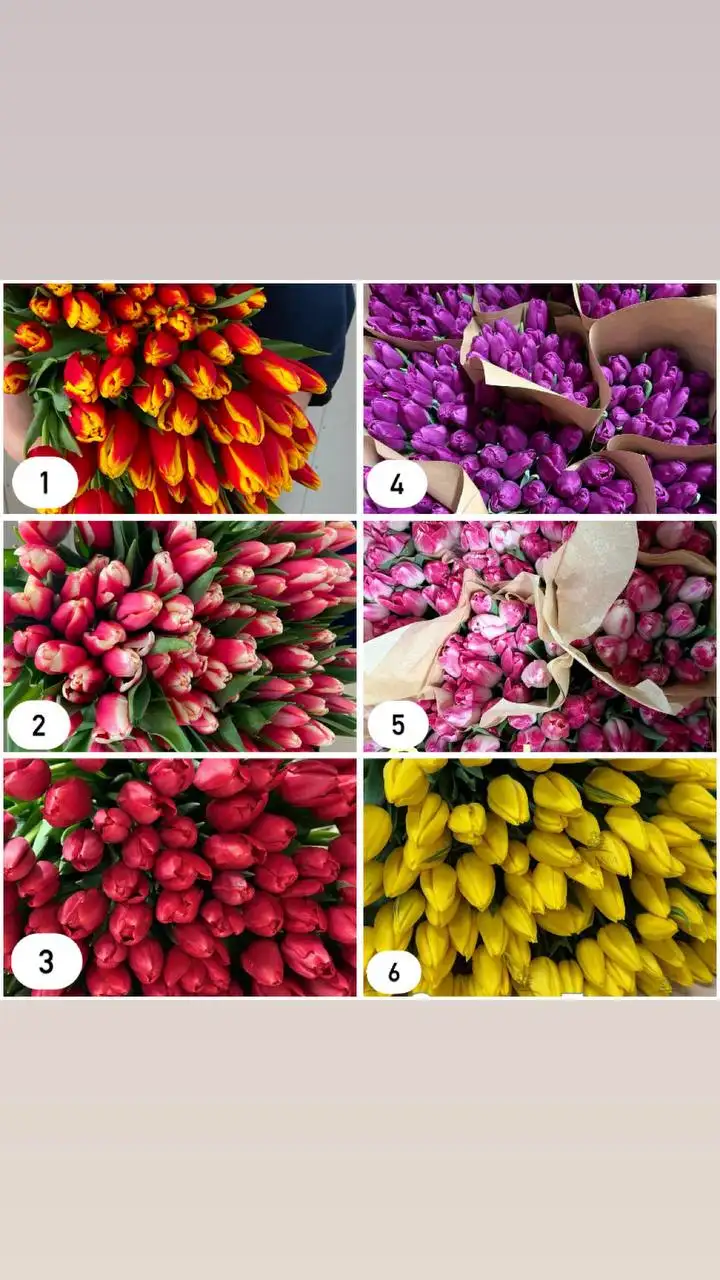 Предзаказ тюльпанов к 8 марта - Цветы (Барахолка) в Барнаул