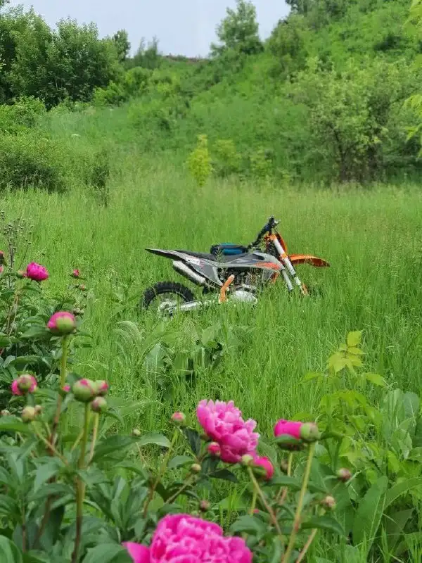 Эндуро мотоцикл GR8 250 с баланс валом в отличном состоянии - Барахолка в Барнаул
