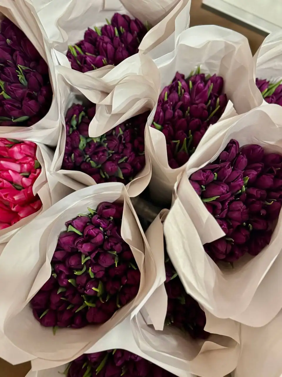 Тюльпаны к 8 марта - Цветы (Барахолка) в Барнаул