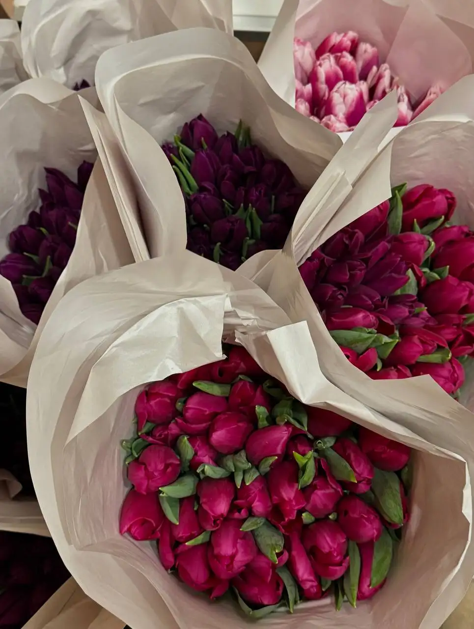 Тюльпаны к 8 марта - Цветы (Барахолка) в Барнаул