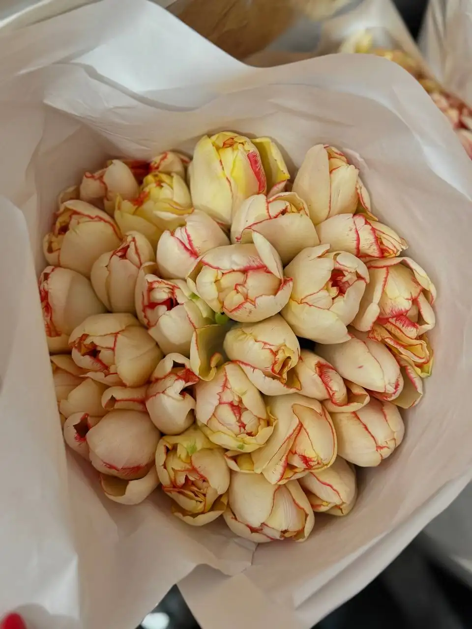 Тюльпаны к 8 марта - Цветы (Барахолка) в Барнаул