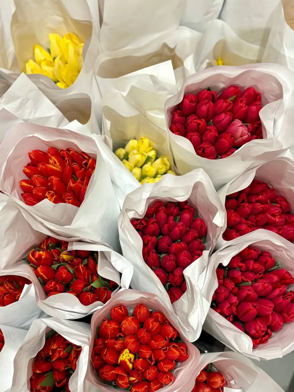 Тюльпаны к 8 марта - Цветы (Барахолка) в Барнаул