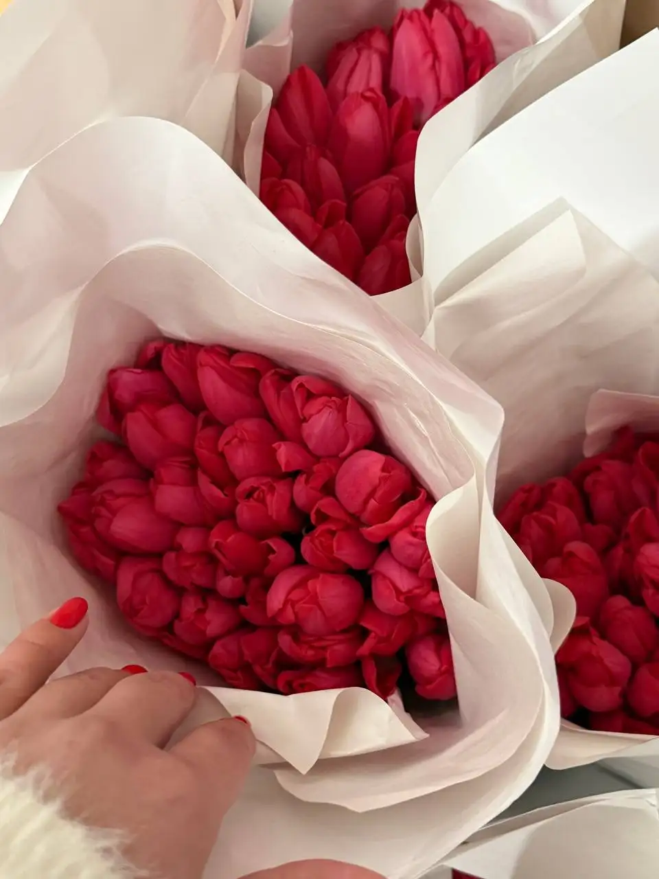 Тюльпаны к 8 марта - Цветы (Барахолка) в Барнаул