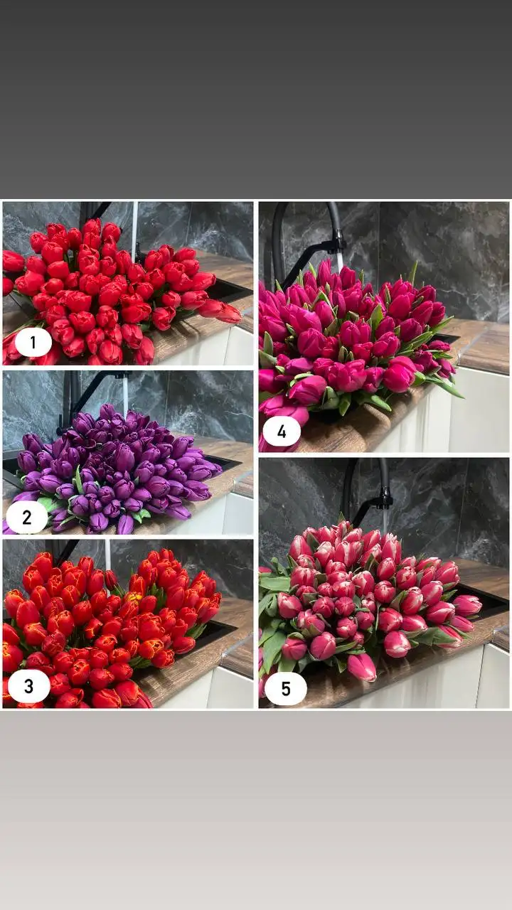 Предзаказ тюльпанов к 8 марта - Растения (Барахолка) в Барнаул