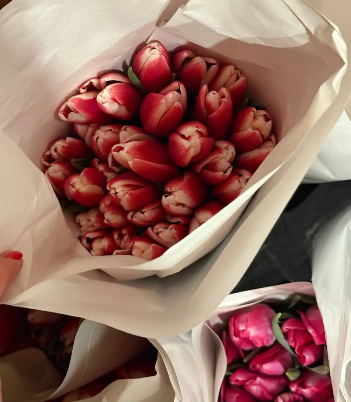 Крупные и высокие тюльпаны к 8 марта - Цветы (Барахолка) в Барнаул