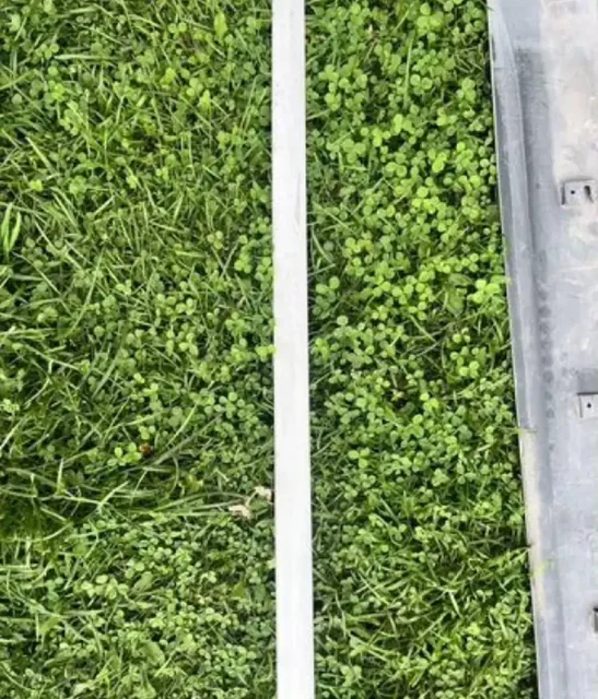 Молдинг двери Toyota Mark II передний правый - Автомобильные зеркала в Барнаул