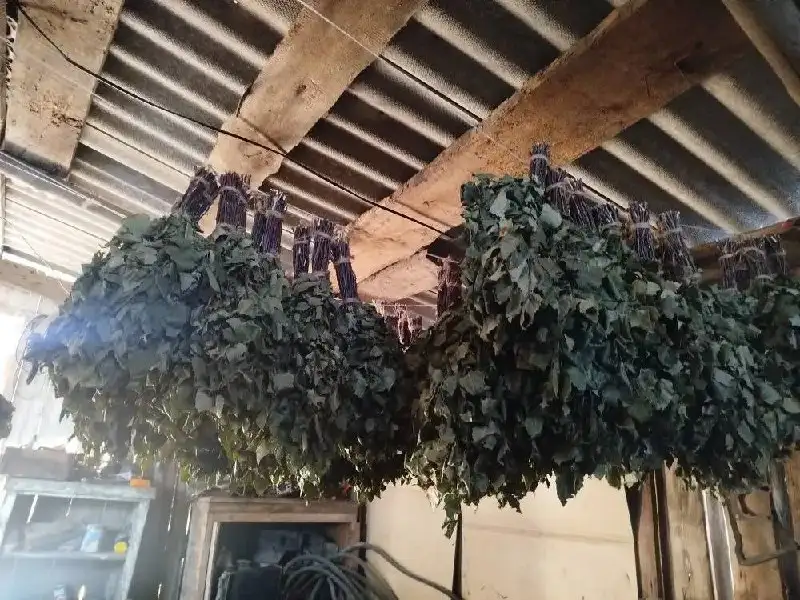 Продам березовый веник - Барахолка в Барнаул