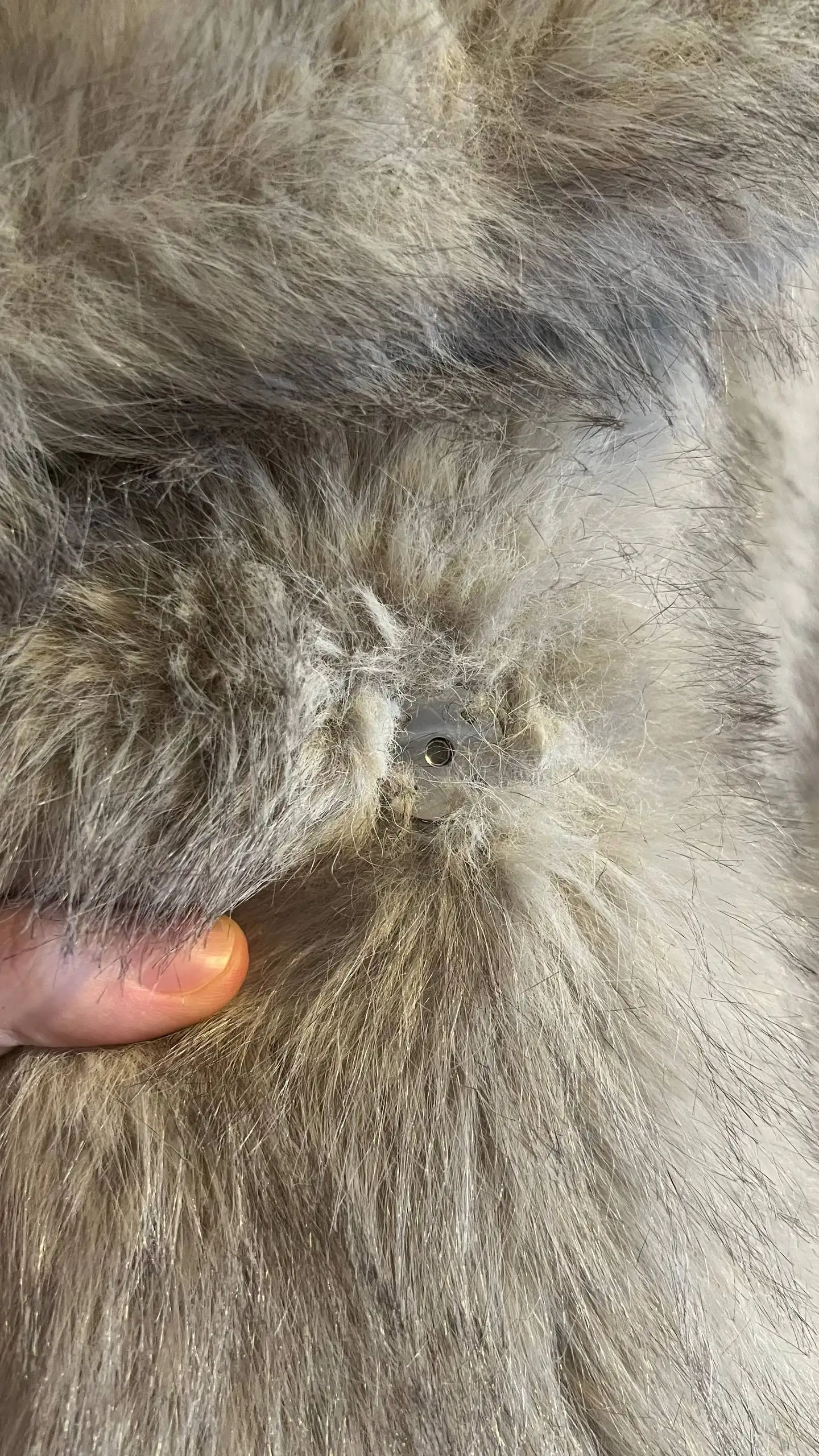 Шуба искусственный мех размер М - Верхняя одежда (Одежда) в Барнаул