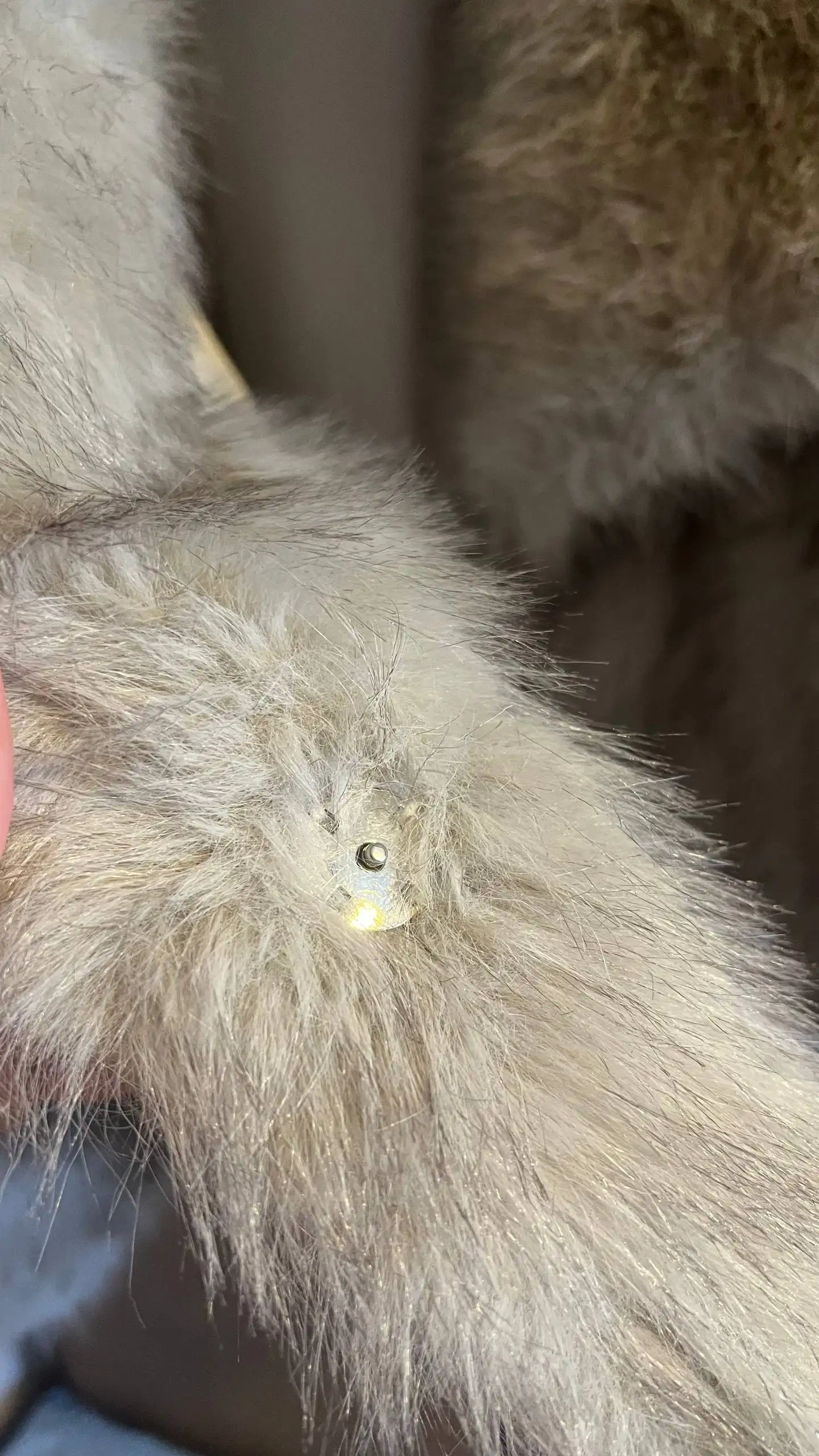 Шуба искусственный мех размер М - Верхняя одежда (Одежда) в Барнаул