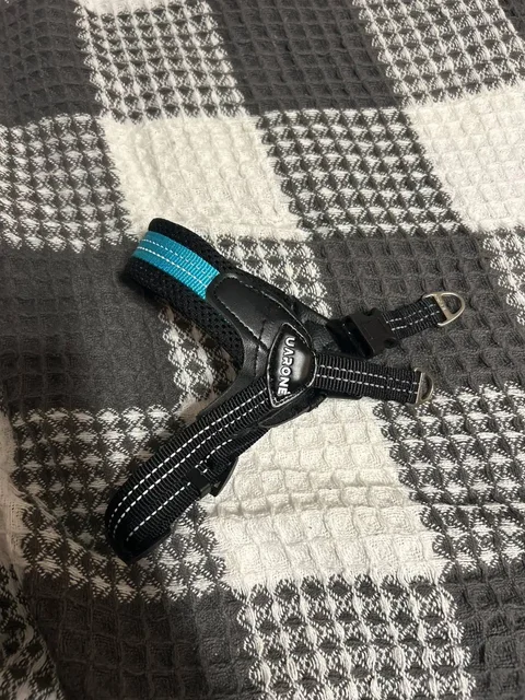 Продам шлейку для собак 3-5 кг - Аксессуары для животных в Барнаул