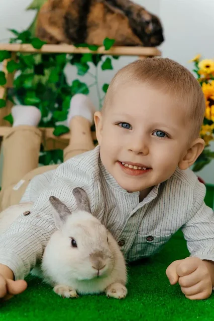 Фотодень с кроликами для детей в Барнауле - Фотосъёмка в Барнаул