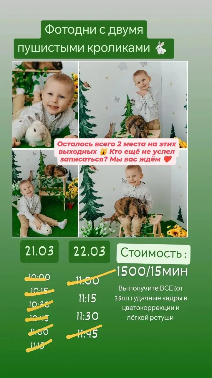 Фотодень с кроликами для детей - Фотоуслуги (Услуги) в Барнаул