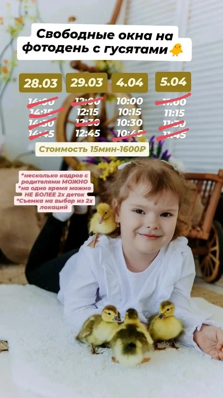Фотодень с живыми гусятами к Пасхе - Фотоуслуги (Услуги) в Барнаул
