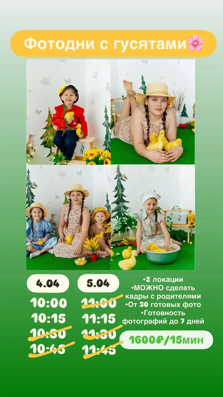 Фотодень с живыми гусятами к Пасхе - Фотоуслуги (Услуги) в Барнаул