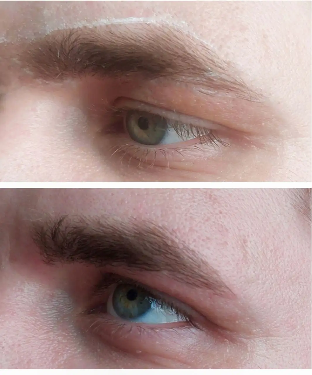 Мастер-бровист ищет моделей для портфолио в Барнауле - Услуги в Барнаул