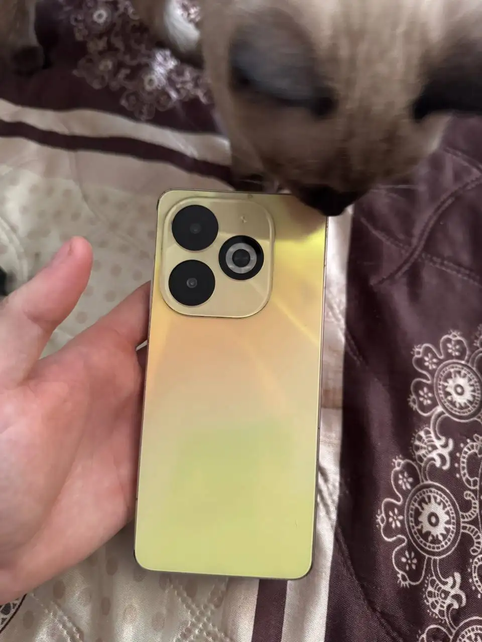 Инфиникс смарт 8про 128 ГБ - Смартфоны (Электроника) в Барнаул